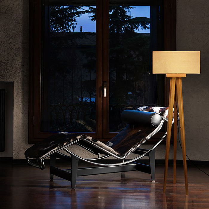 آباژور کنارسالنی